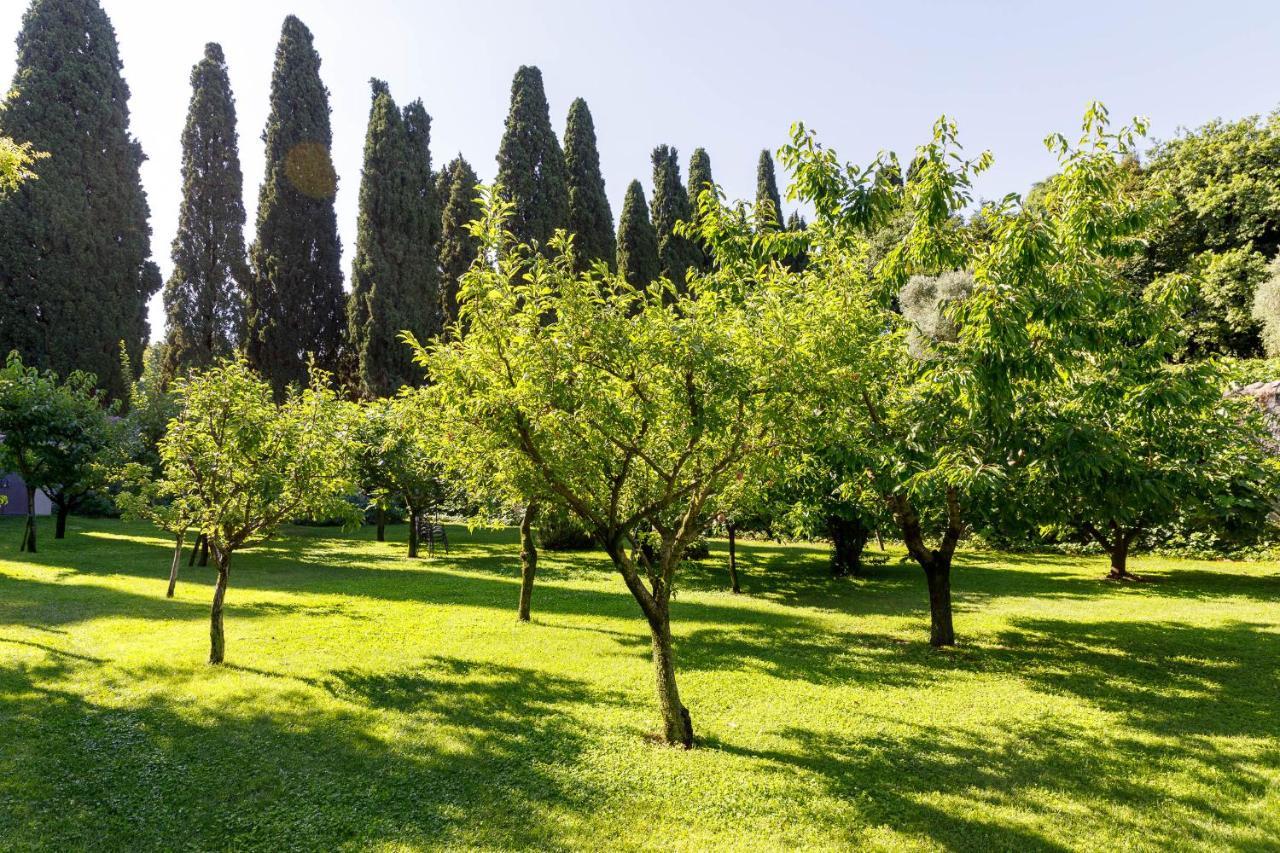 פאסטרנגו Villa Padovani Relais De Charme - Adults Only מראה חיצוני תמונה